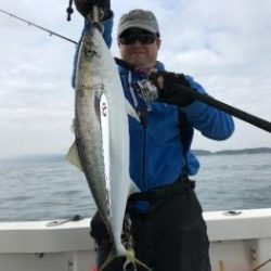 シーマジカル 釣果