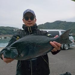 千津丸 釣果