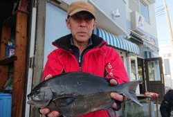 伊豆下田フィッシング 釣果