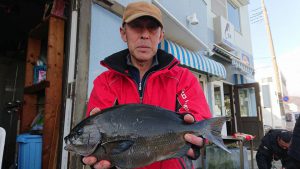 伊豆下田フィッシング 釣果