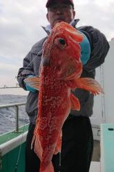 伊豆下田フィッシング 釣果