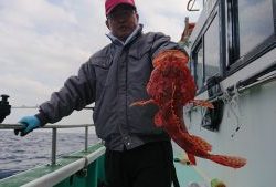 伊豆下田フィッシング 釣果