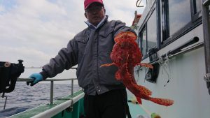 伊豆下田フィッシング 釣果