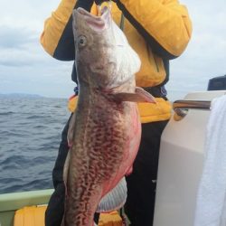 気仙沼　つり丸 釣果