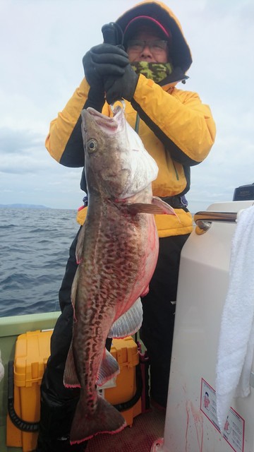 気仙沼　つり丸 釣果