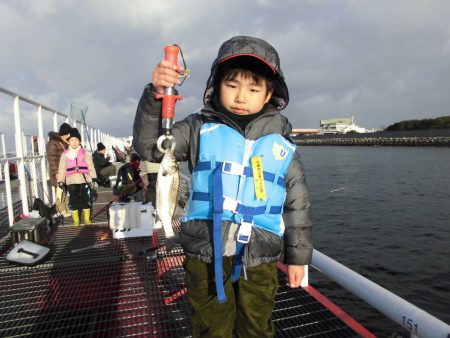 尼崎市立魚つり公園 釣果