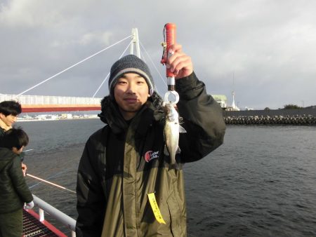 尼崎市立魚つり公園 釣果