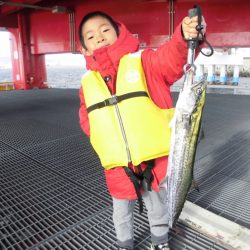 尼崎市立魚つり公園 釣果