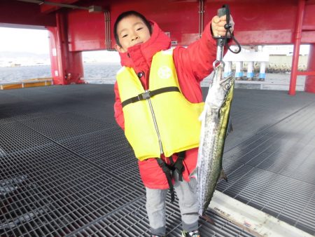尼崎市立魚つり公園 釣果