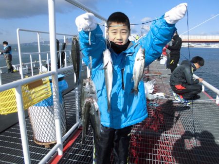 尼崎市立魚つり公園 釣果