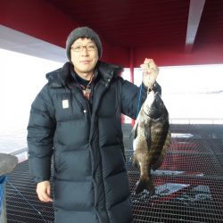 尼崎市立魚つり公園 釣果