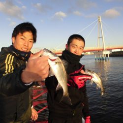 尼崎市立魚つり公園 釣果