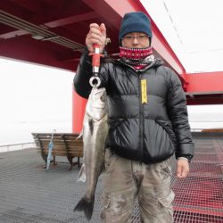 尼崎市立魚つり公園 釣果