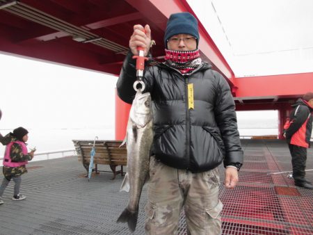 尼崎市立魚つり公園 釣果
