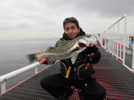 尼崎市立魚つり公園 釣果