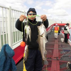 尼崎市立魚つり公園 釣果