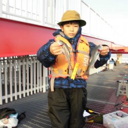 尼崎市立魚つり公園 釣果