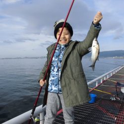 尼崎市立魚つり公園 釣果