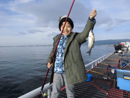 尼崎市立魚つり公園 釣果