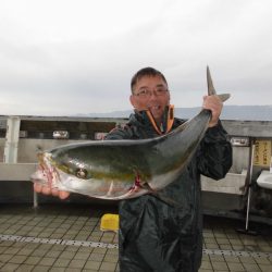 尼崎市立魚つり公園 釣果