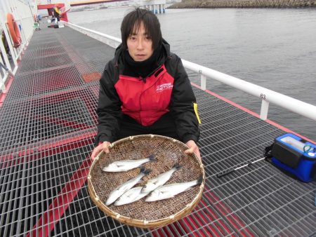 尼崎市立魚つり公園 釣果