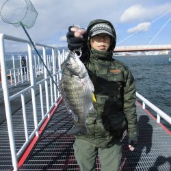 尼崎市立魚つり公園 釣果