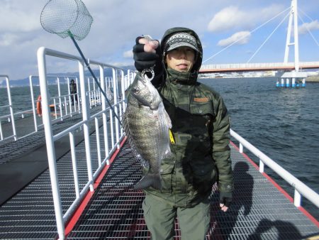 尼崎市立魚つり公園 釣果