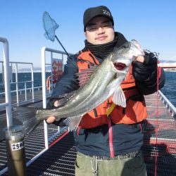 尼崎市立魚つり公園 釣果