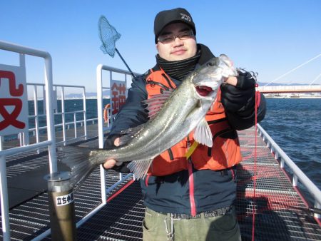 尼崎市立魚つり公園 釣果