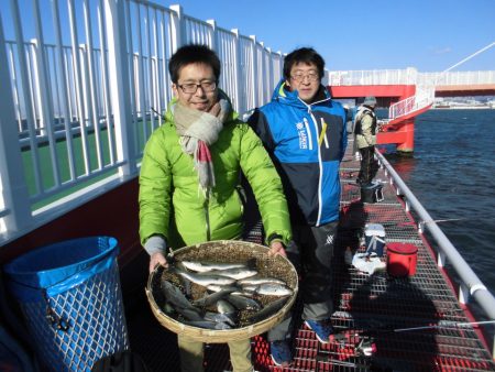 尼崎市立魚つり公園 釣果