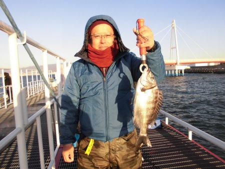 尼崎市立魚つり公園 釣果