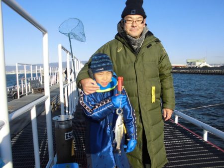 尼崎市立魚つり公園 釣果