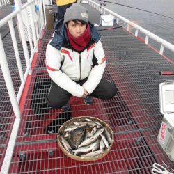 尼崎市立魚つり公園 釣果