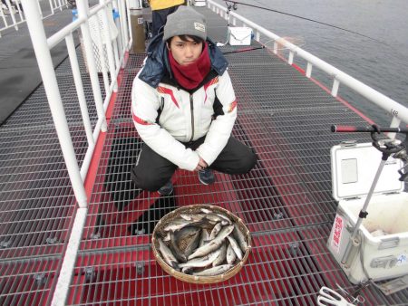 尼崎市立魚つり公園 釣果