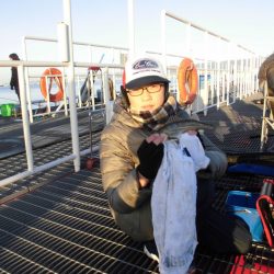 尼崎市立魚つり公園 釣果