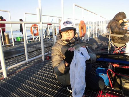 尼崎市立魚つり公園 釣果
