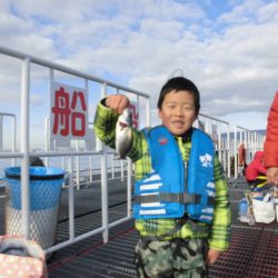 尼崎市立魚つり公園 釣果