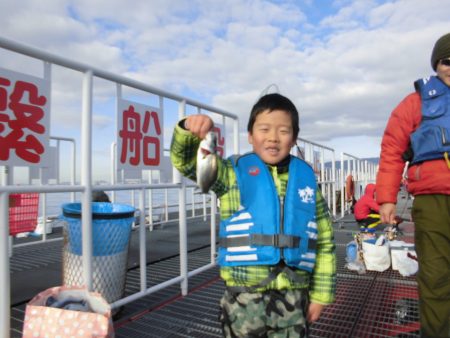 尼崎市立魚つり公園 釣果