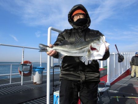 尼崎市立魚つり公園 釣果