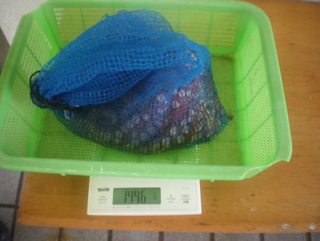 姫路市立遊魚センター 釣果