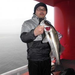 尼崎市立魚つり公園 釣果