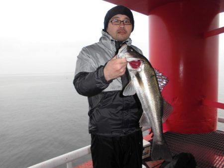 尼崎市立魚つり公園 釣果