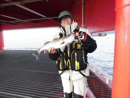 尼崎市立魚つり公園 釣果