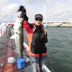 尼崎市立魚つり公園 釣果