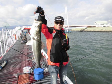 尼崎市立魚つり公園 釣果