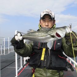 尼崎市立魚つり公園 釣果