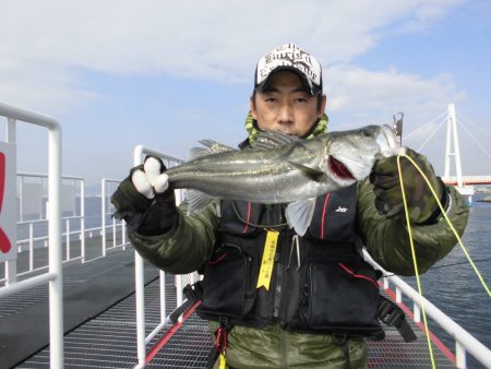 尼崎市立魚つり公園 釣果