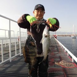 尼崎市立魚つり公園 釣果