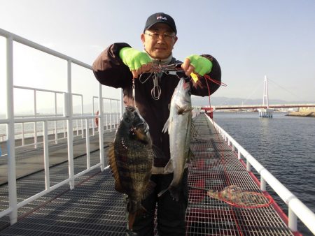 尼崎市立魚つり公園 釣果