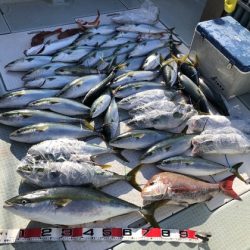 ふじしめ丸 釣果